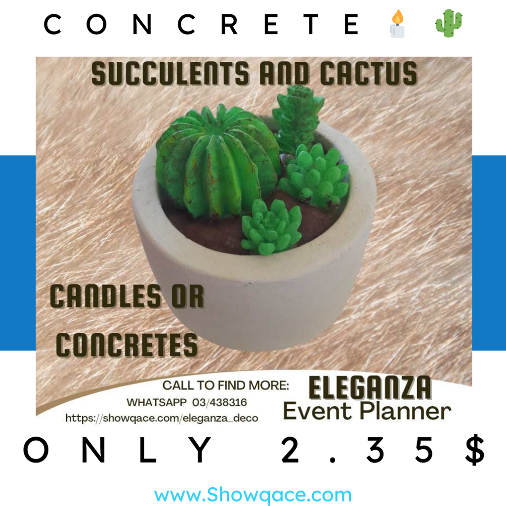 Showqace | Eleganza | Concrete Candle Cactus Souvenir